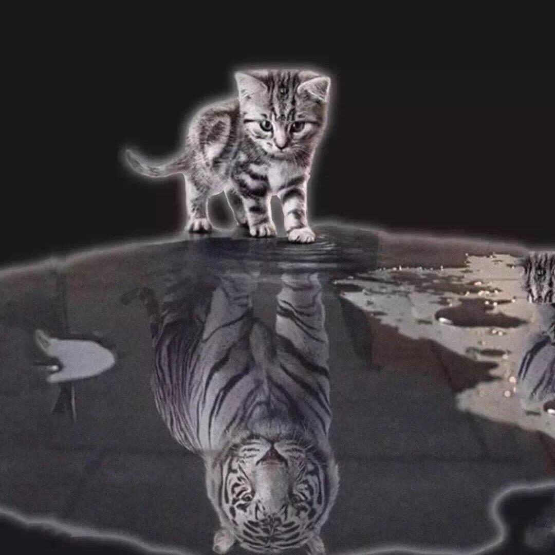 福源物流～.菏泽江苏全境直达