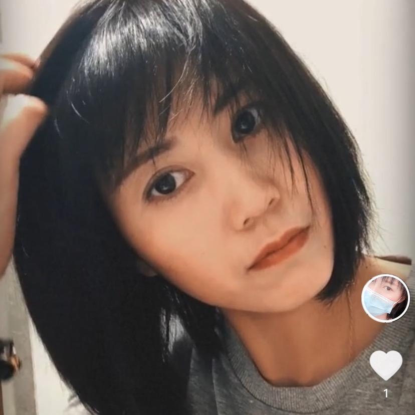 多多是只小泰迪