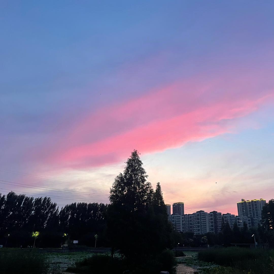 张张……