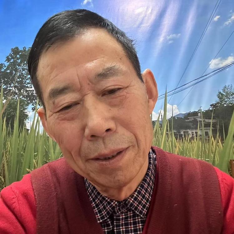 百草@百草1首播12点半