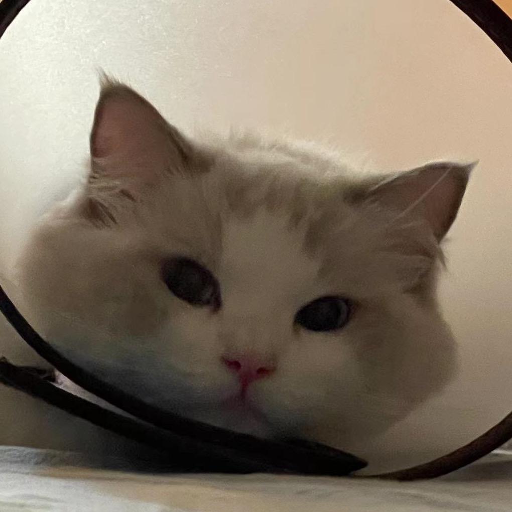 小团妈爱分享❤️