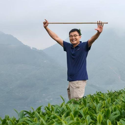 茶人林大头