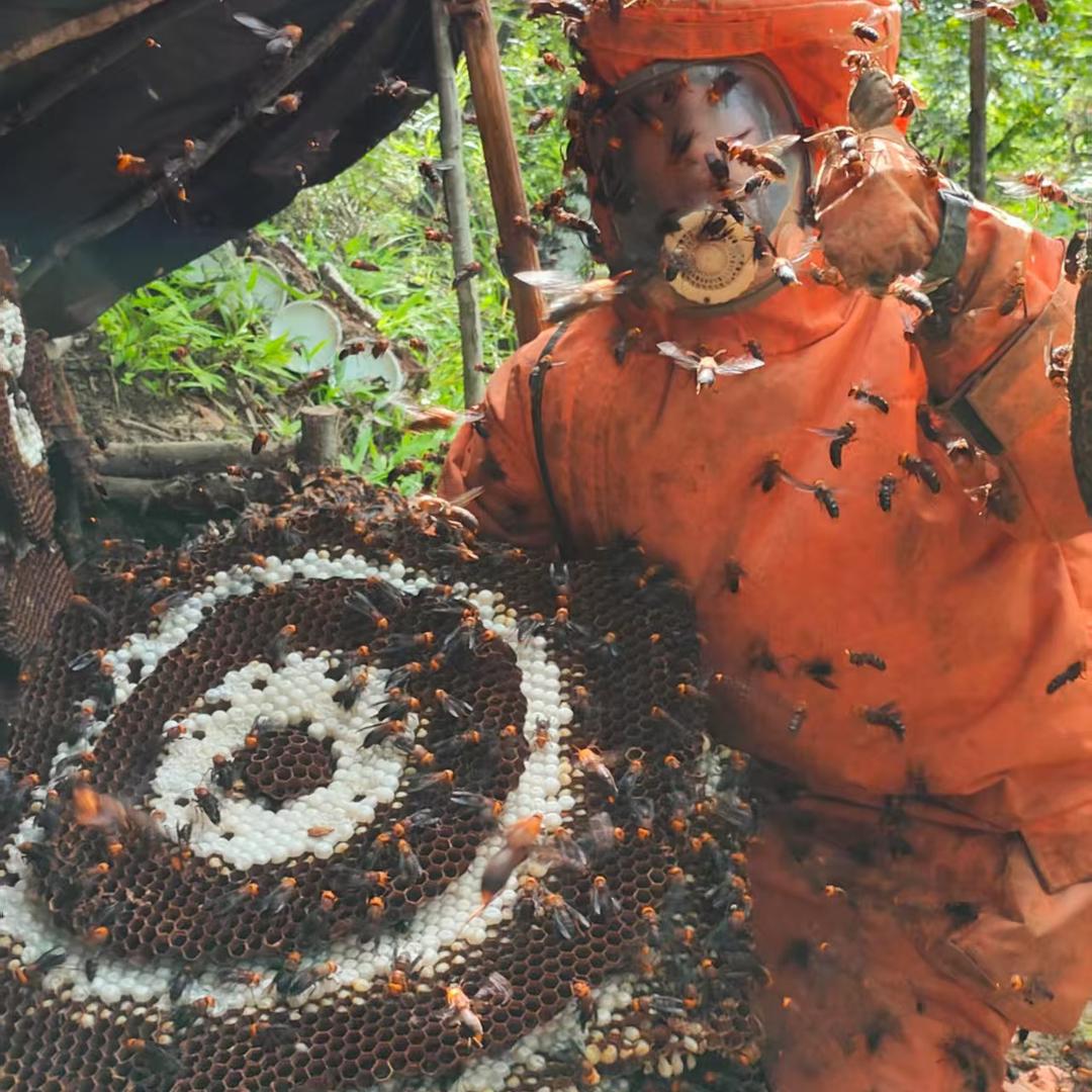 从江县野货配送