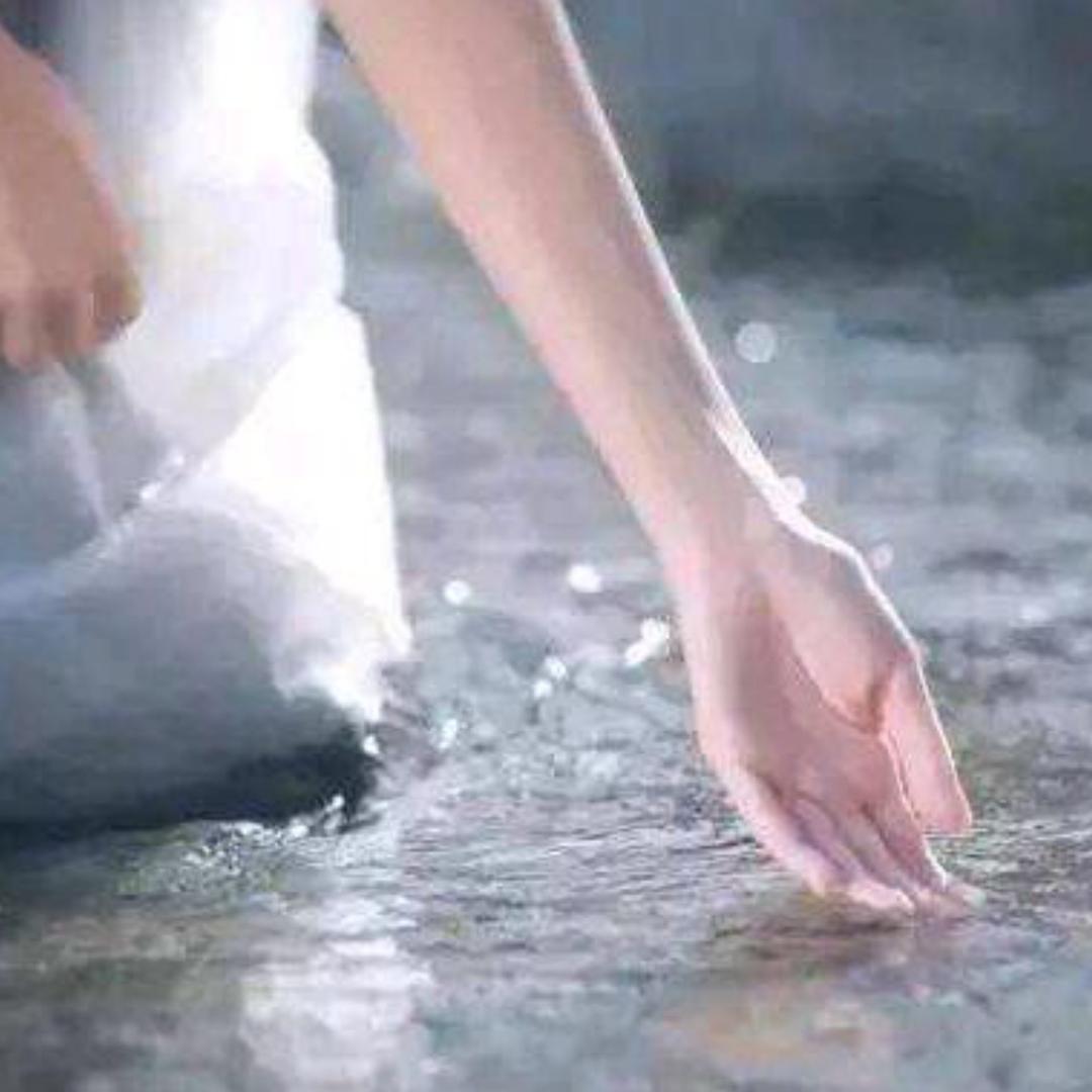 @雾里看海💎💎