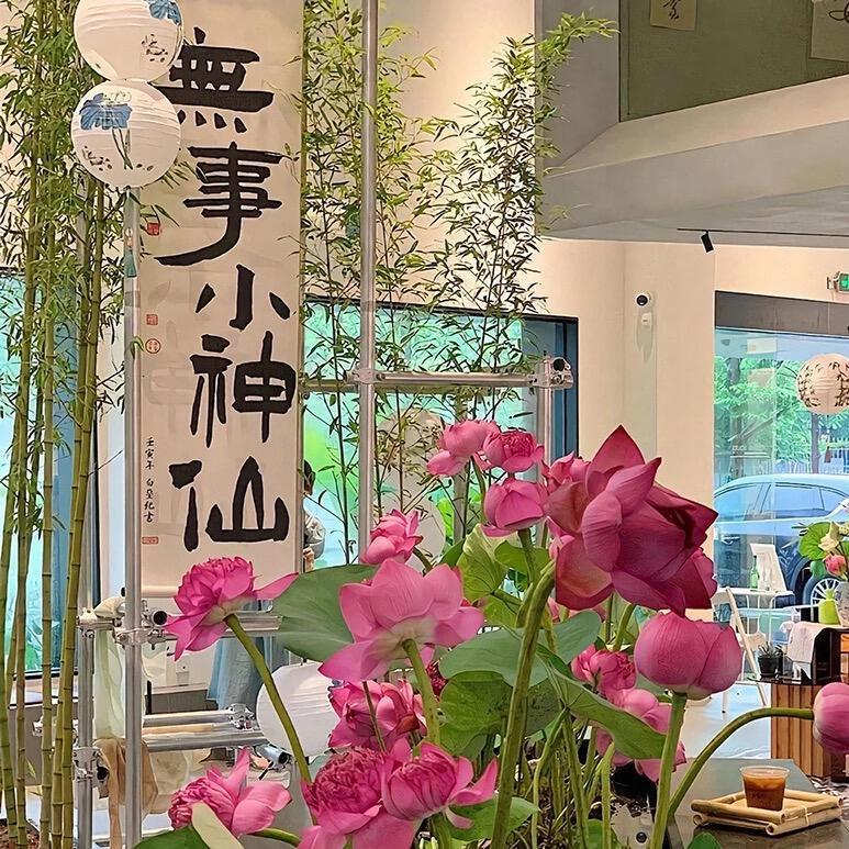 琳妹儿