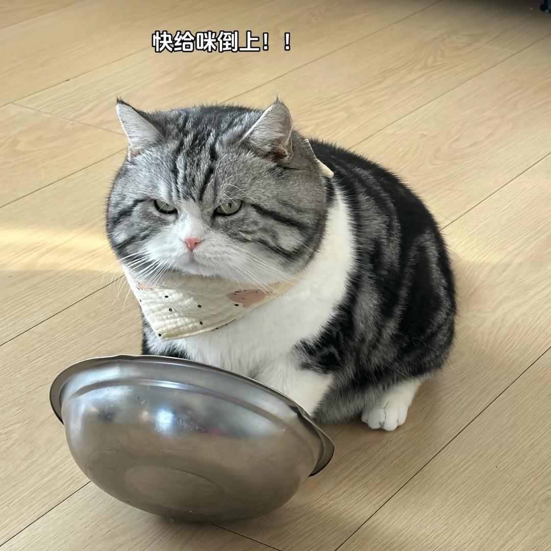 信徒