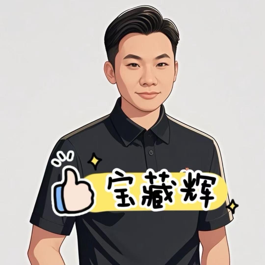 宝藏辉（清货）