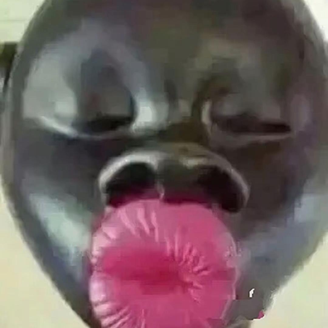 爱吃酸菜鱼