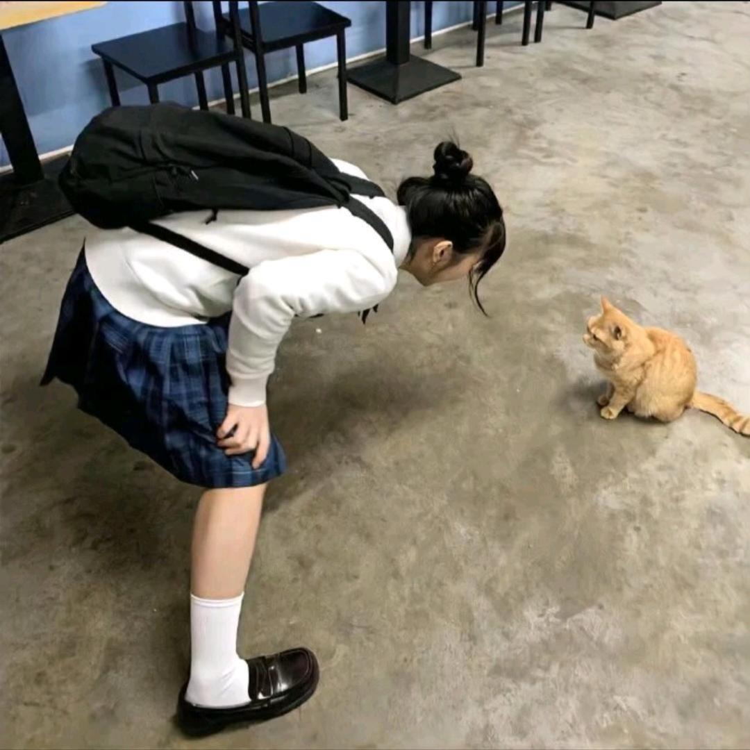 椰椰.