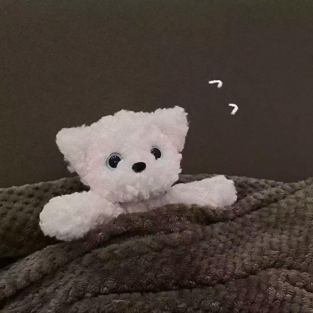我爱张鱼小丸子🍡