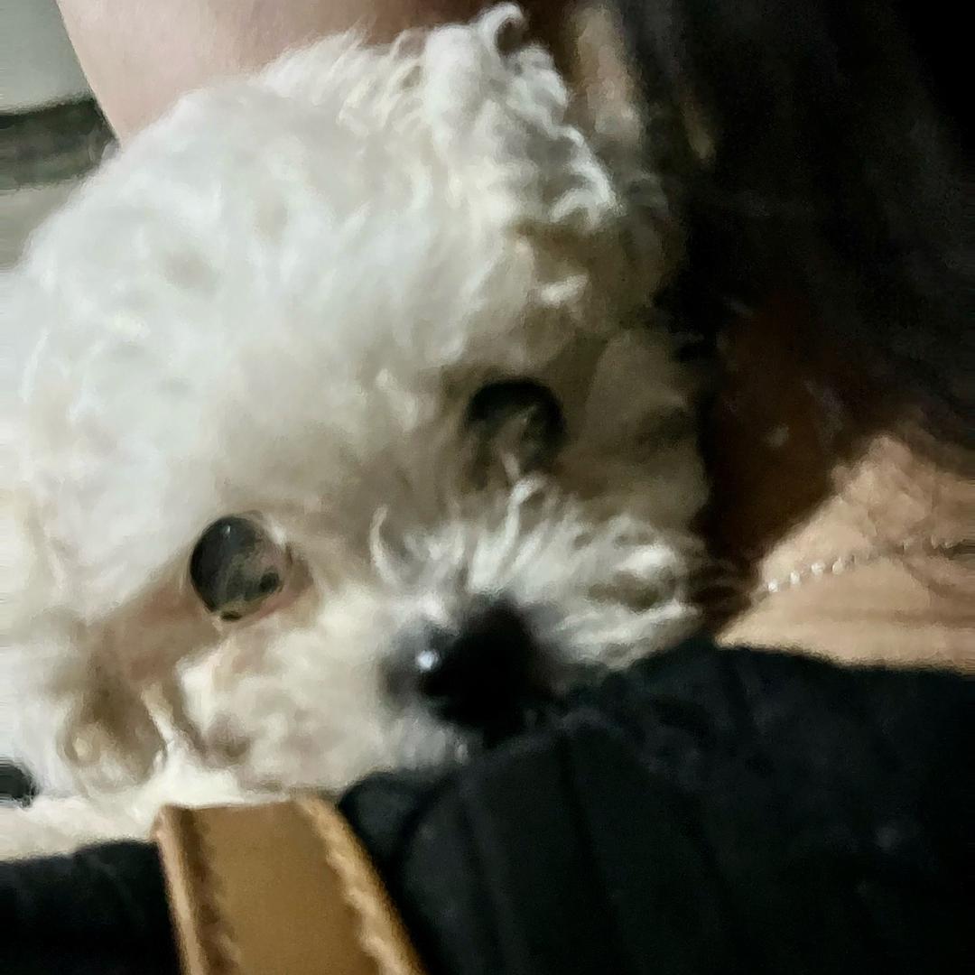 別吵我睡覺