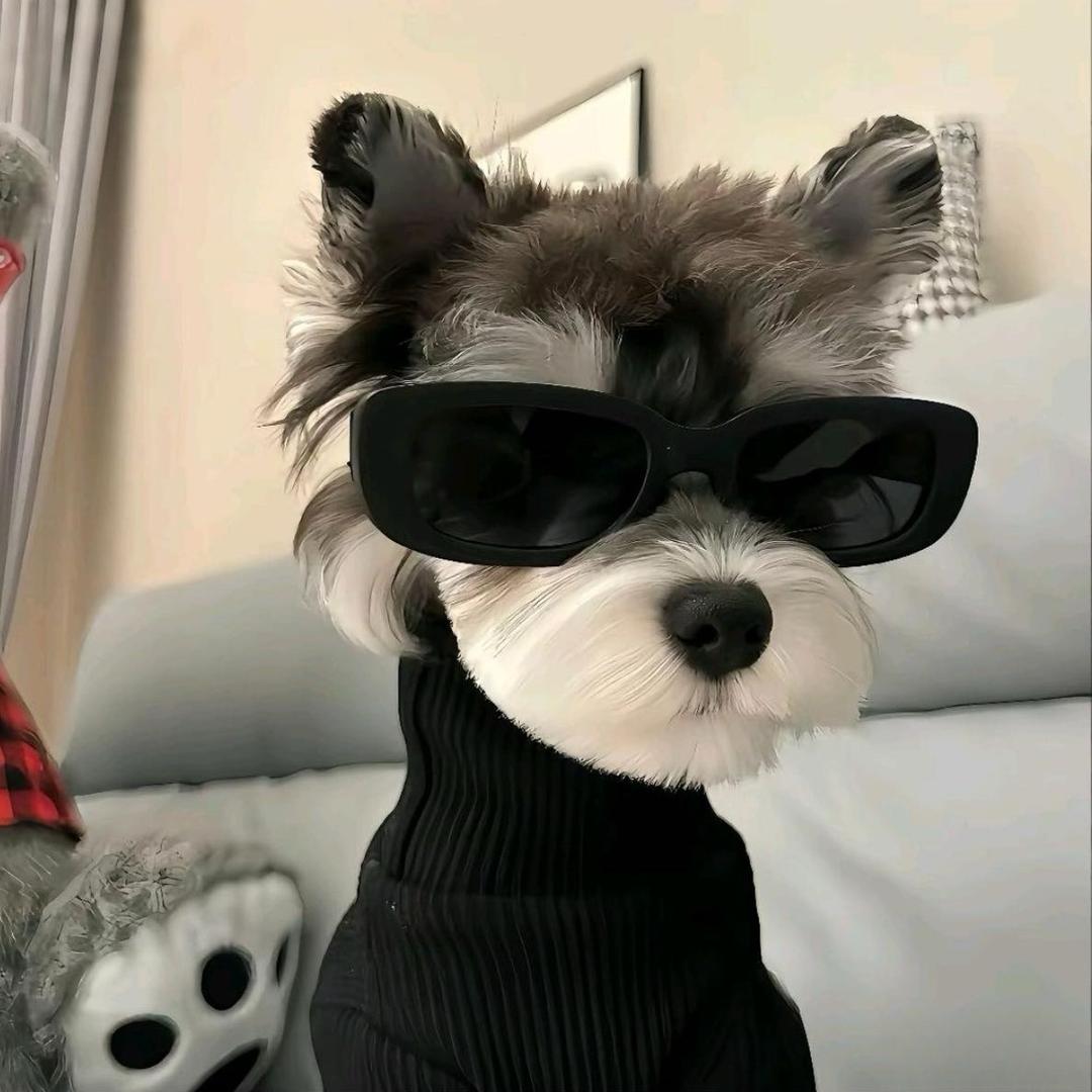 二营长的意大利炮