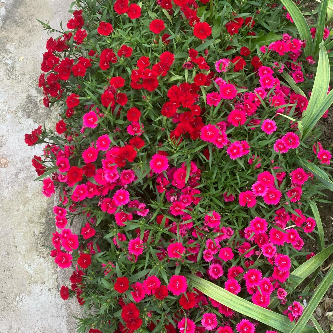 xh顺其自然🌈☀️