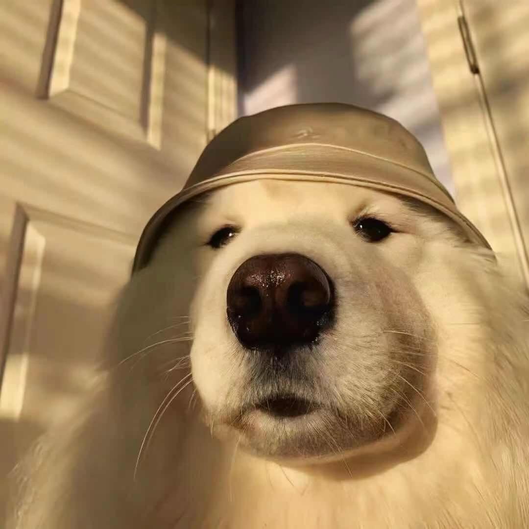 于先森