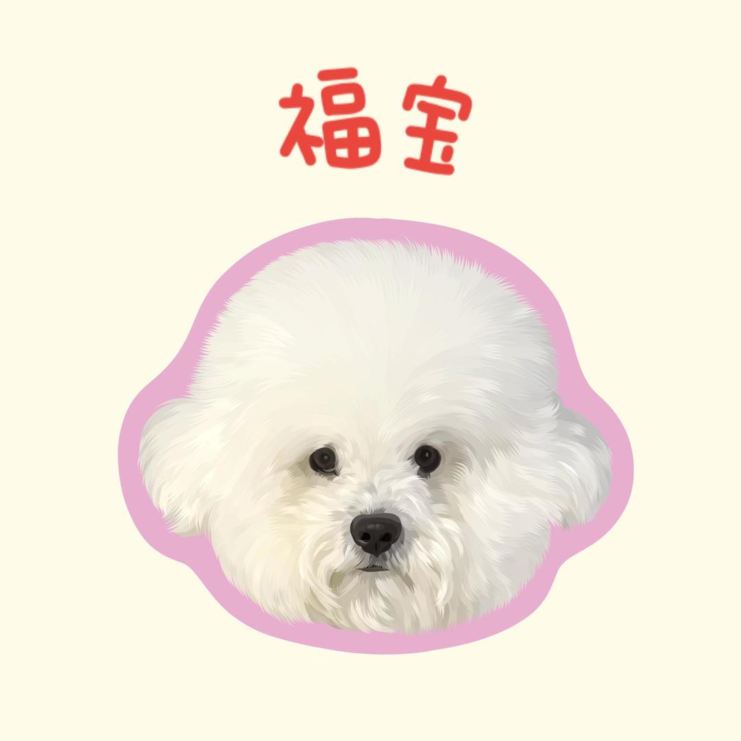 小熊福福