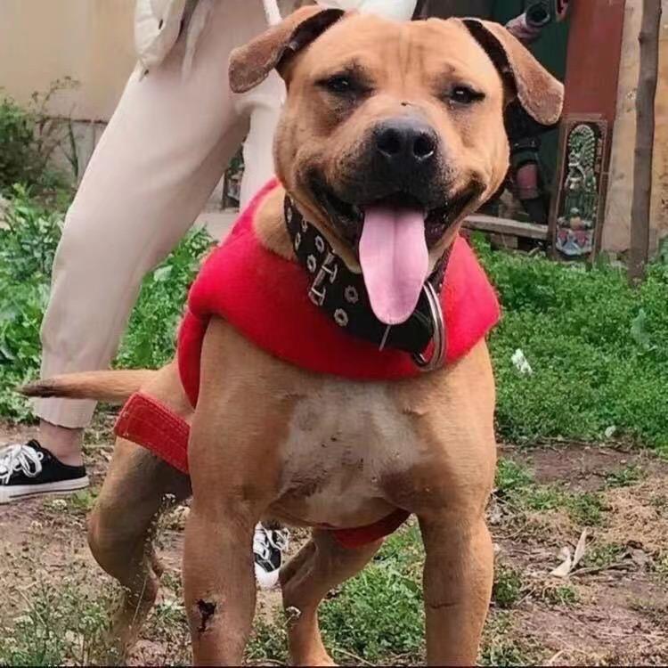 亿顺养殖场🐶
