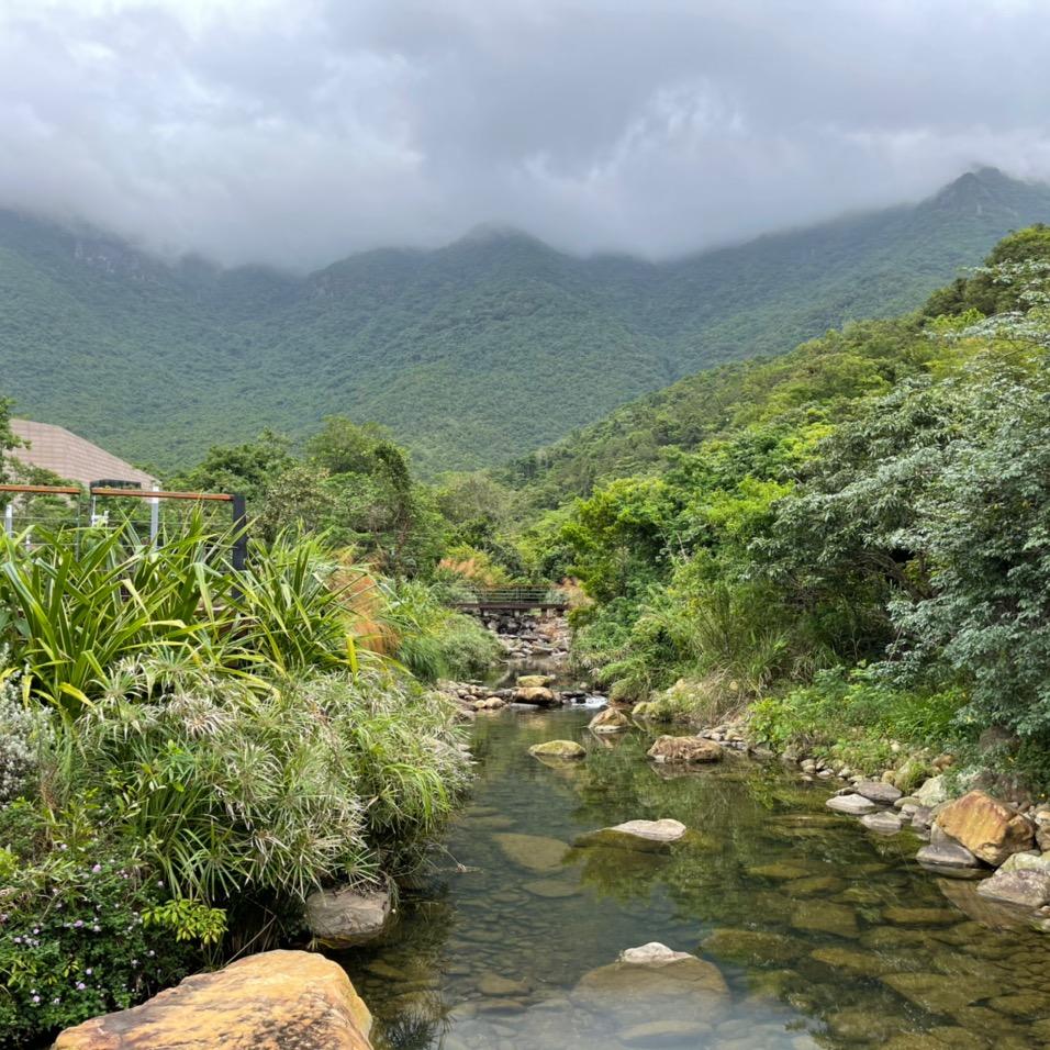 闲坐等风