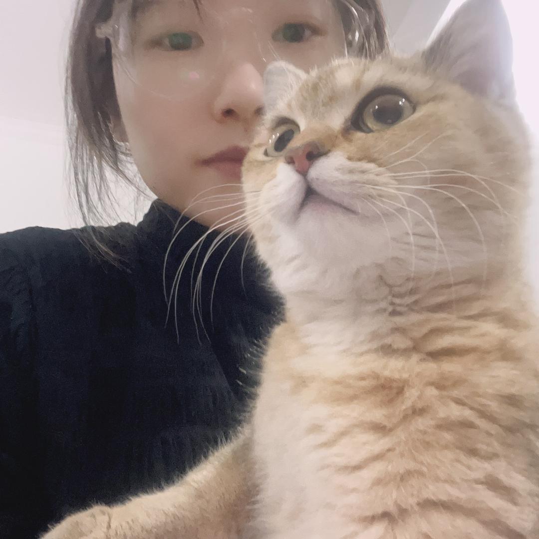 叮叮好物