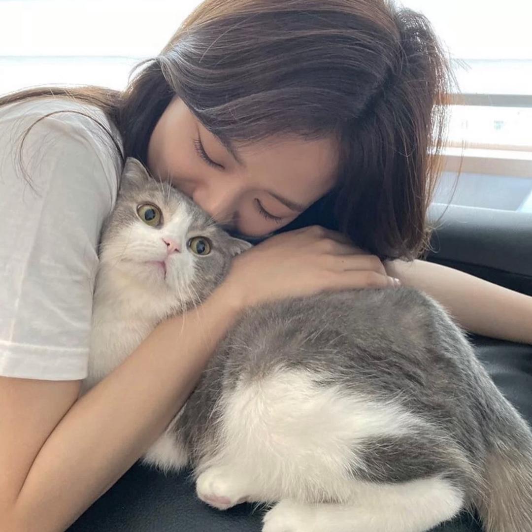 可乐搭冰