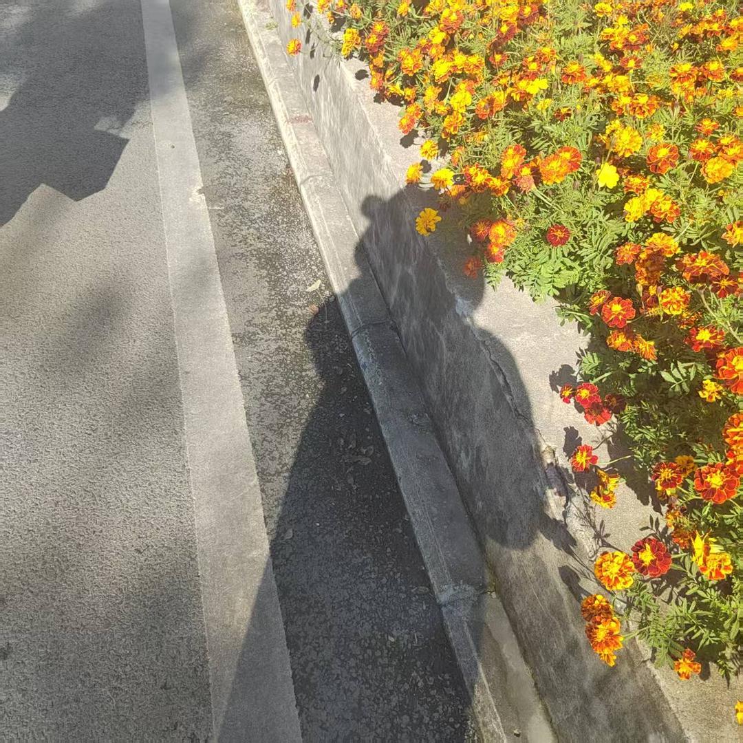 学习让我快乐🌻