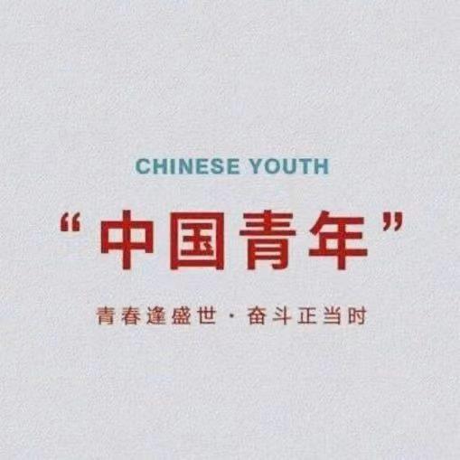 枫叶☀️