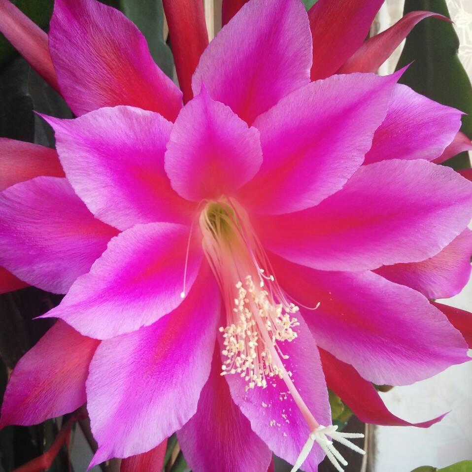 时光（拒私聊）