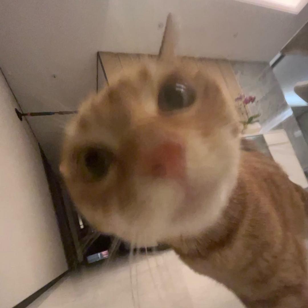 行。（流量回家