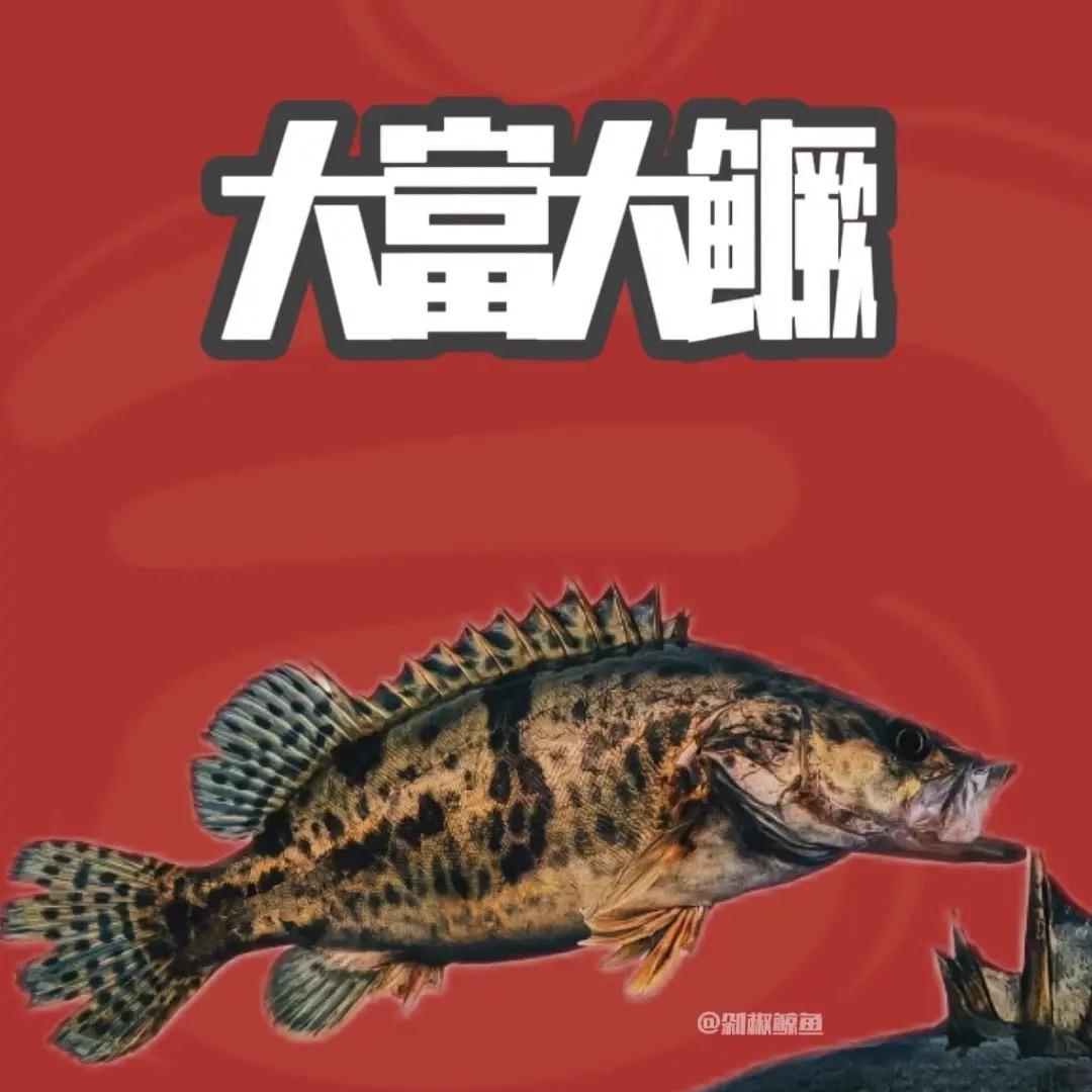 🎣吱嗷赵逗钓🎣