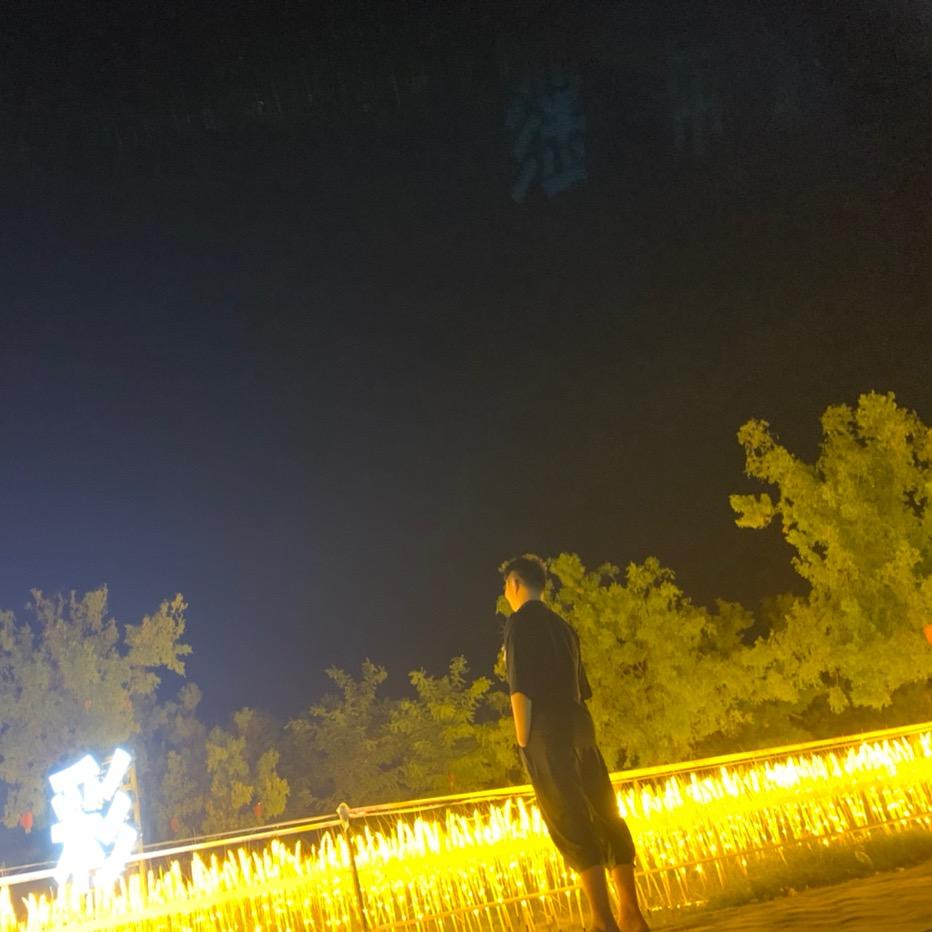禹辉