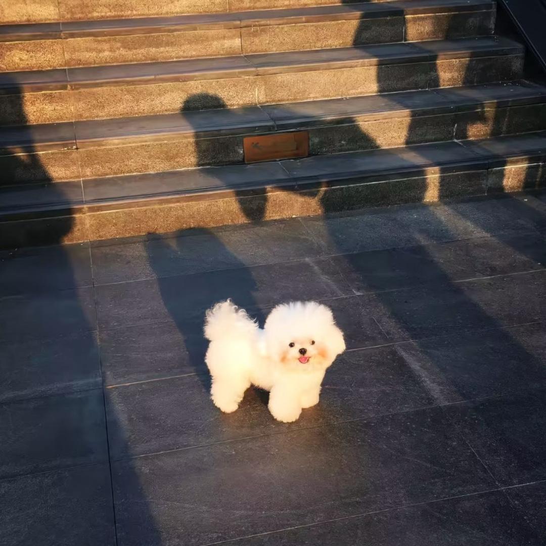 想要吃不胖.