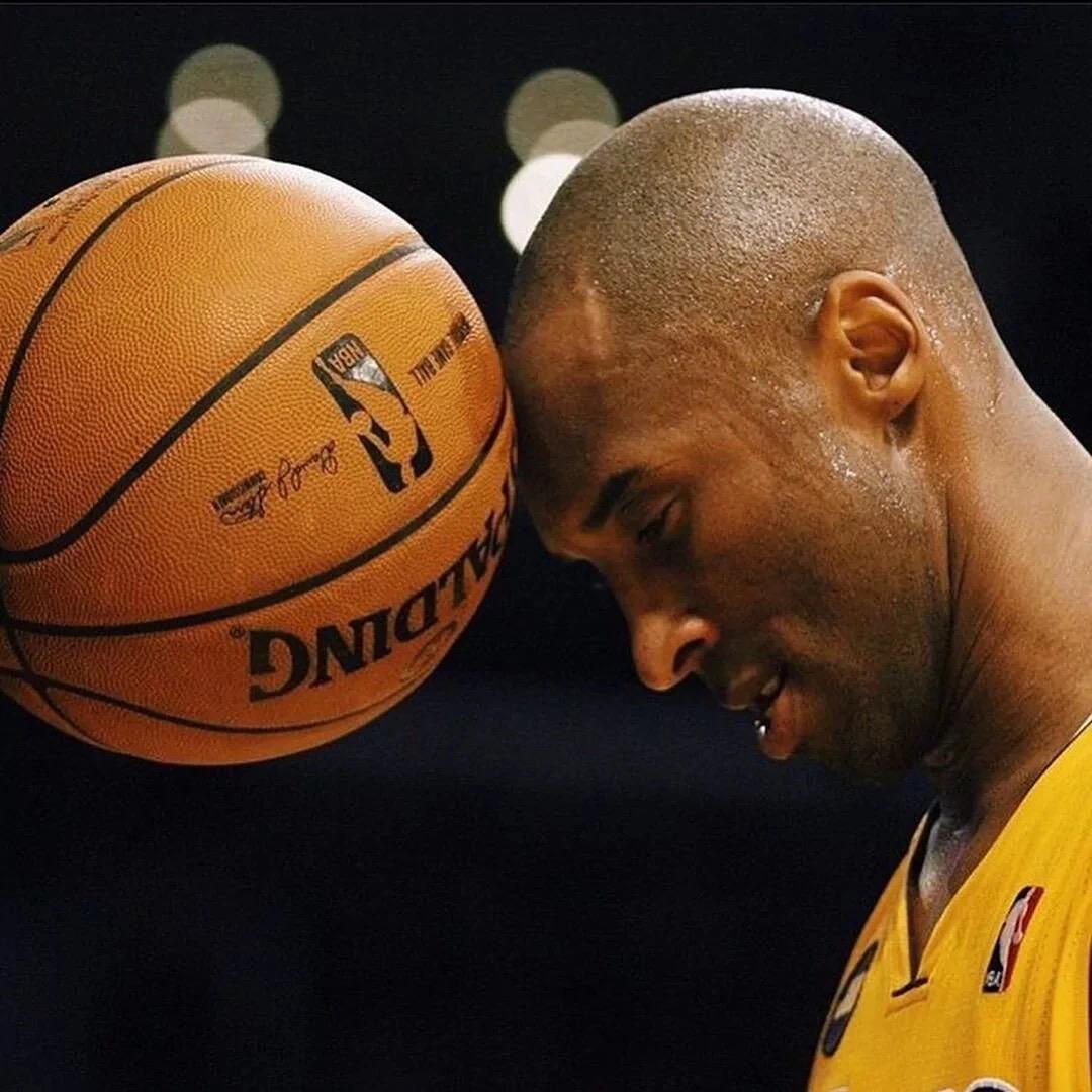 红鲤鱼与绿鲤鱼与驴