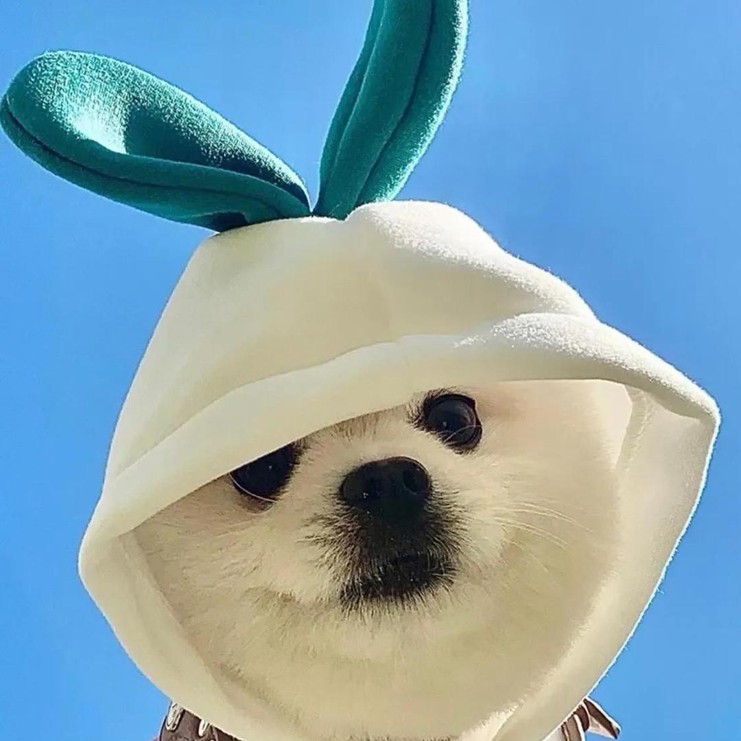 开心猜猜乐