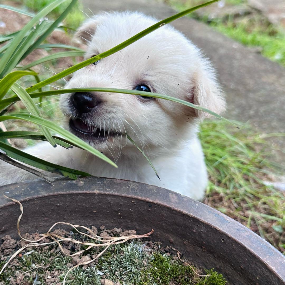 乐乐成长日记