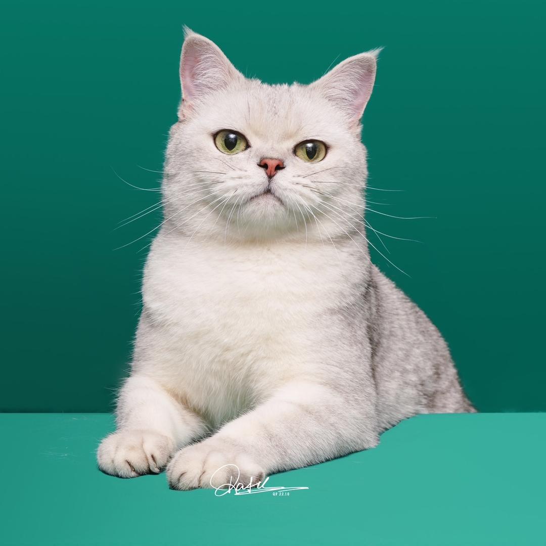 圆宝老板在办公室