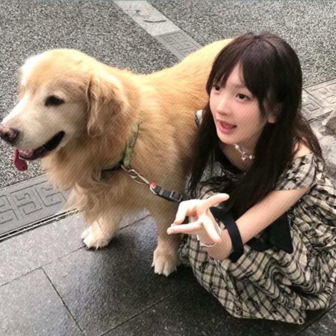 Hello条条