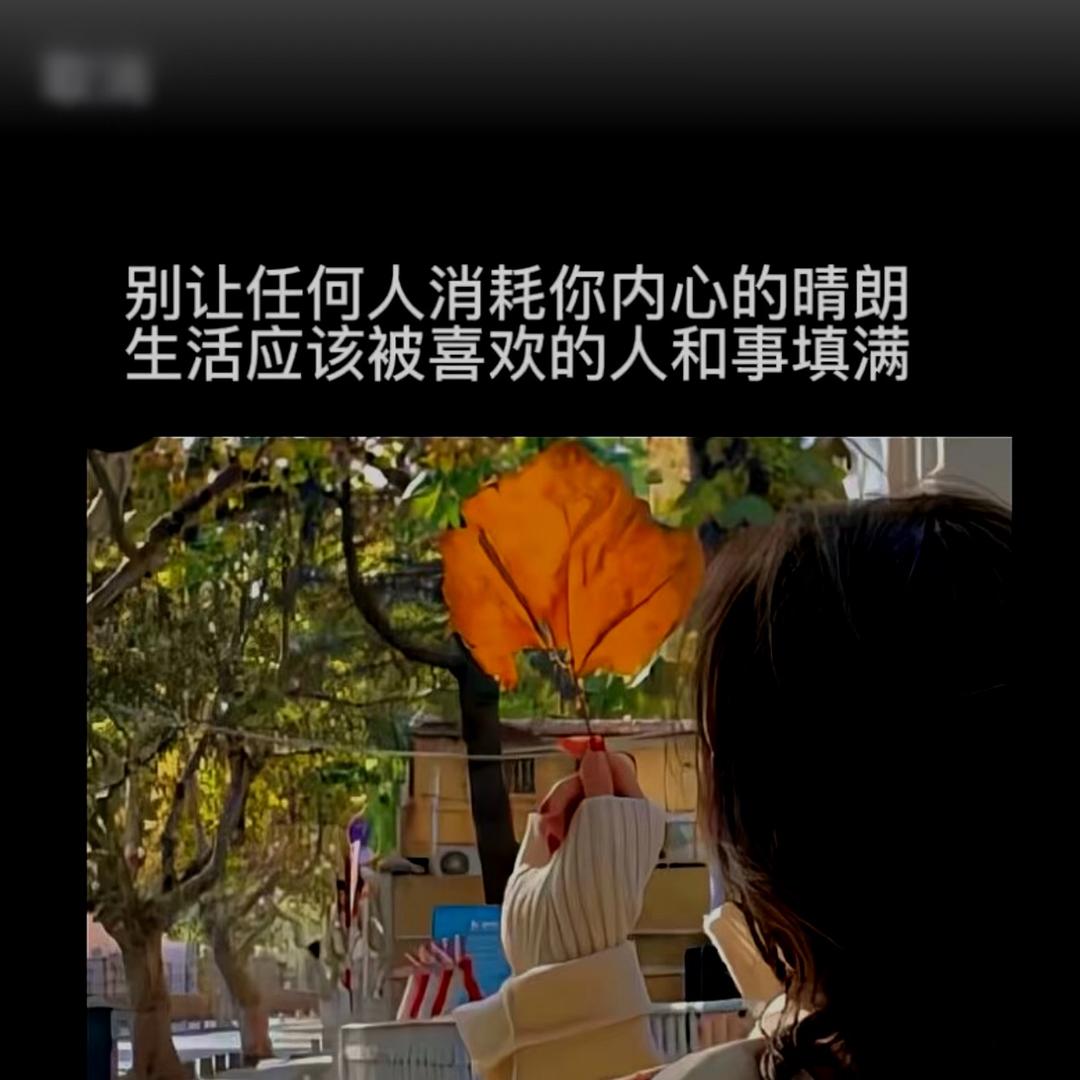 舒宝宝