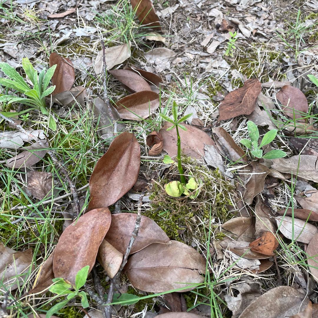 轻舟已过万重山