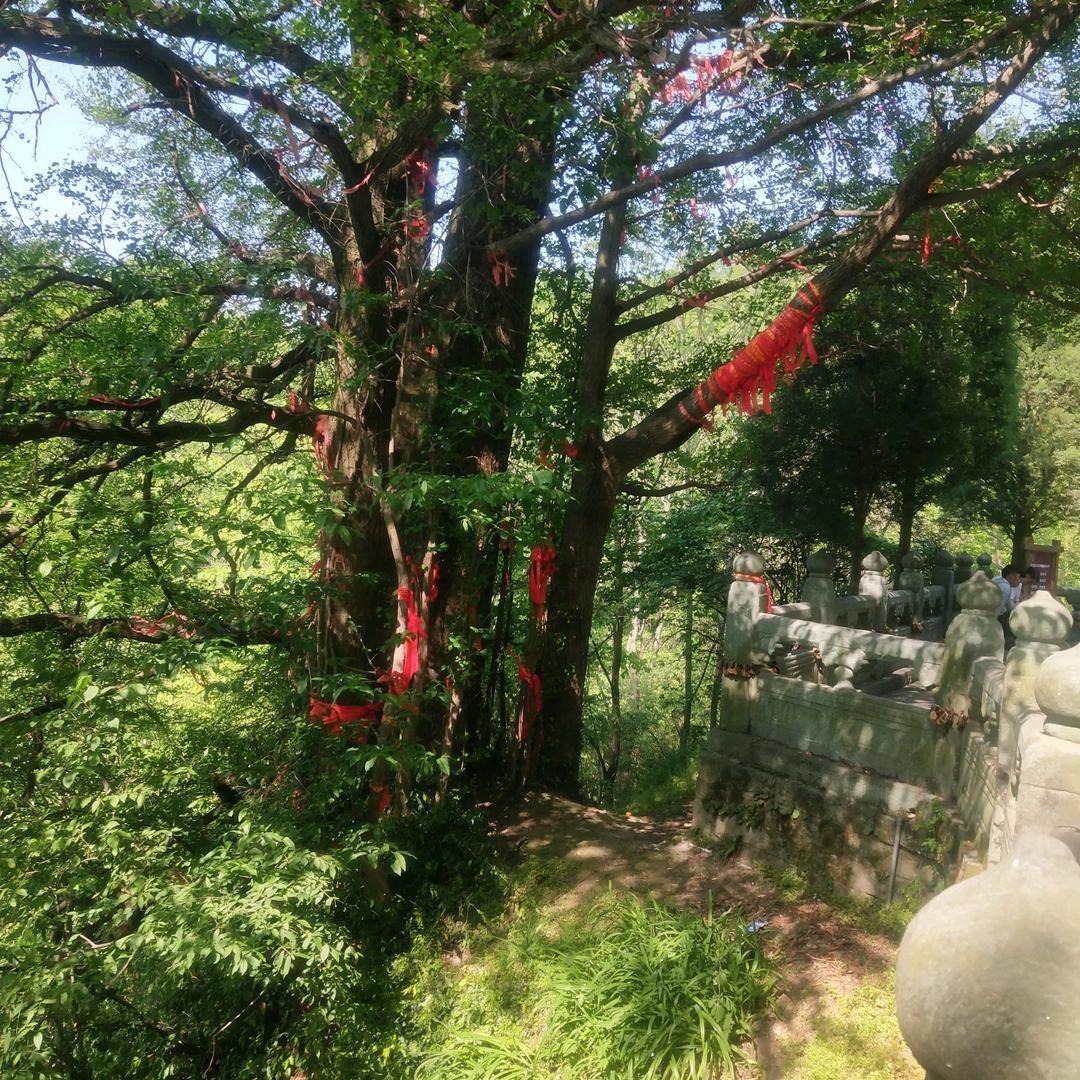 @静静可可商贸