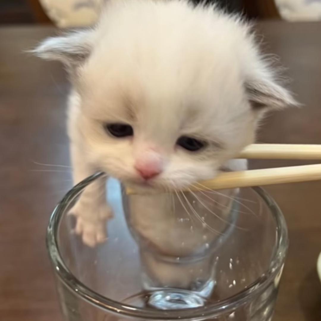 明年冬天見