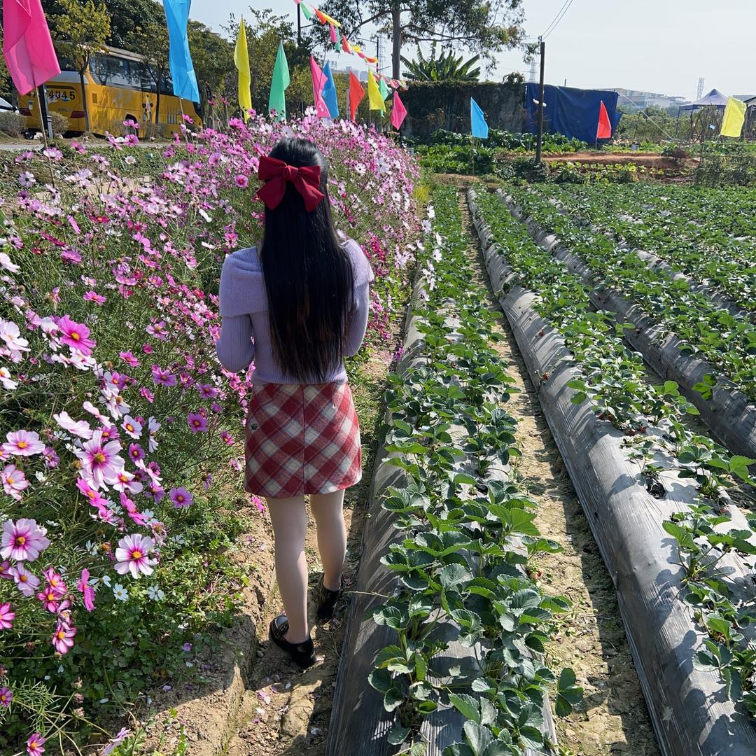 ——💞蝶梦【暫離網絡】