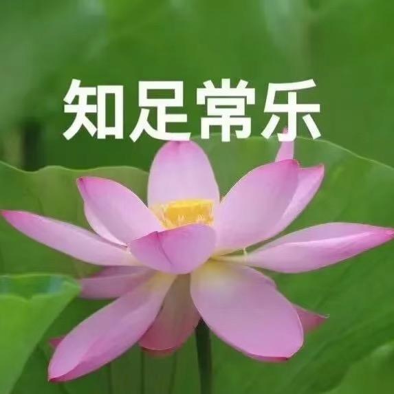 十安