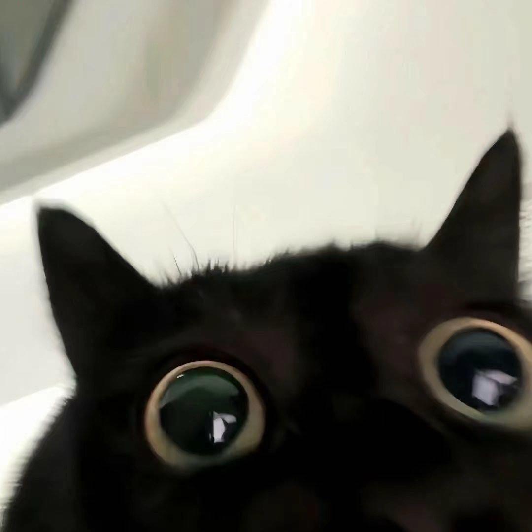 宿命