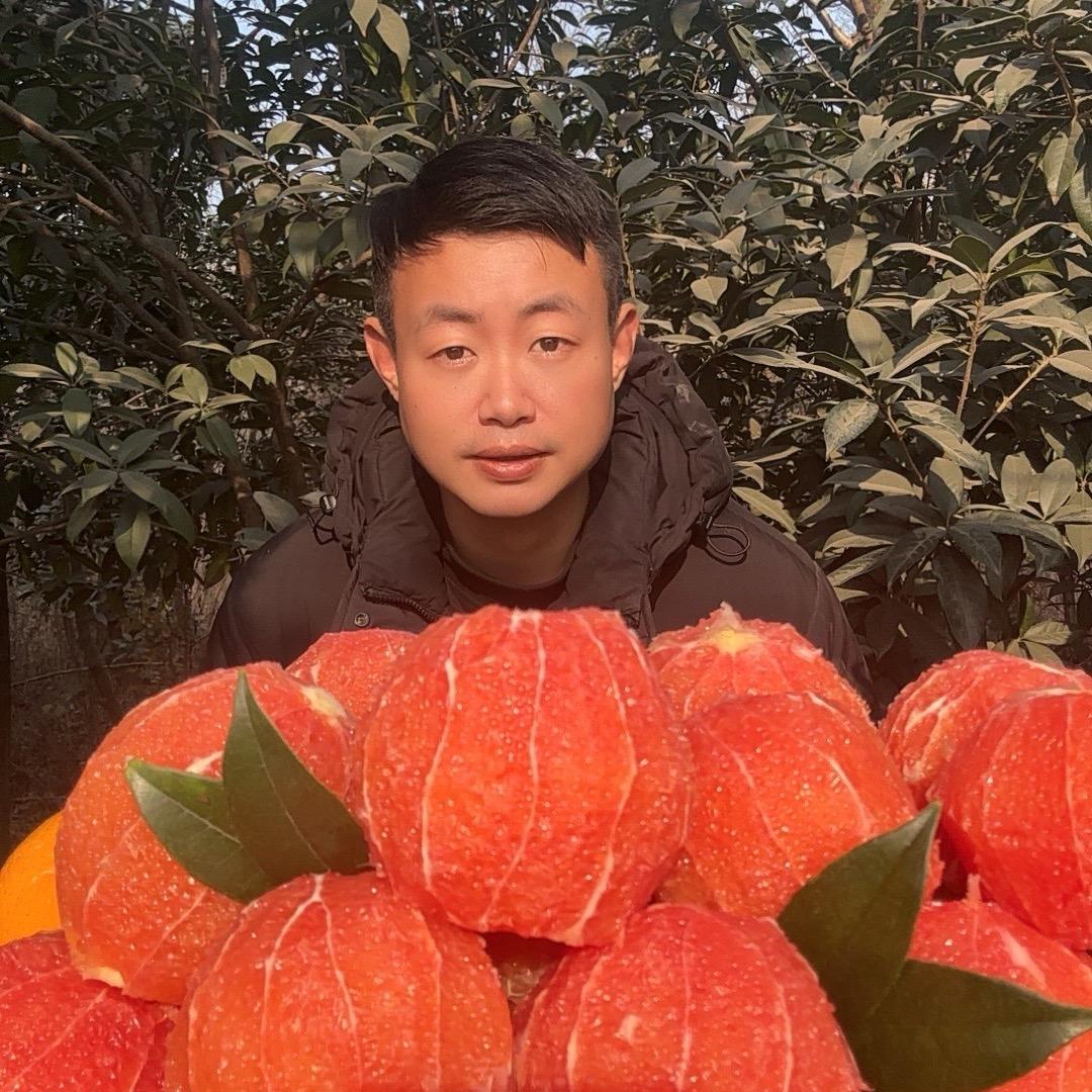 农家血橙