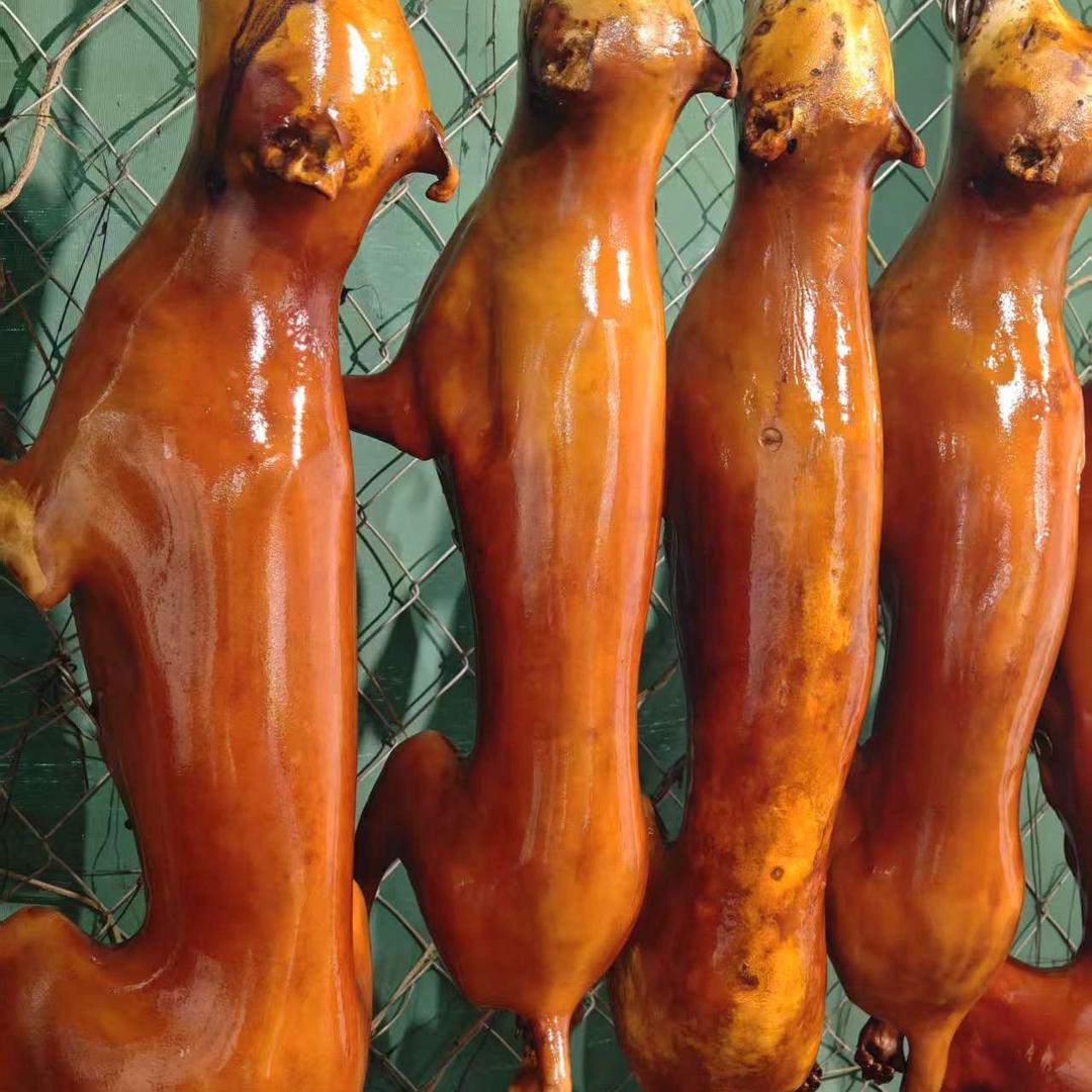 顺风美食（玉林）