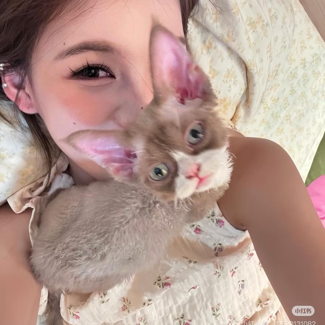 小琪啊