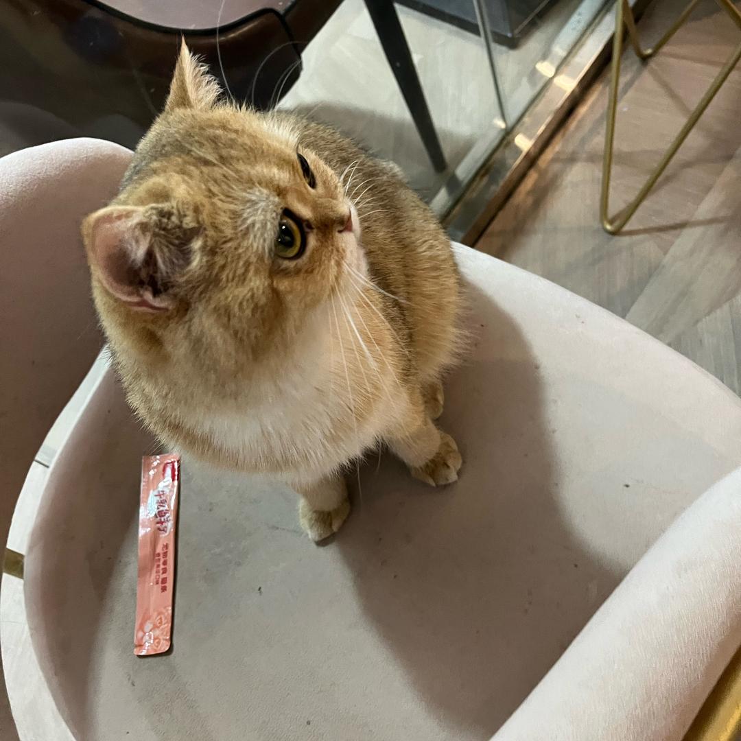 我是痒痒