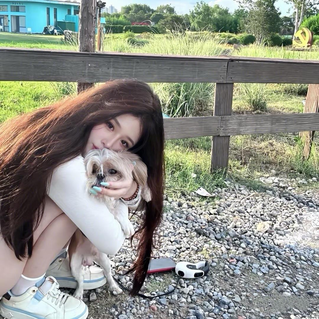 小灰灰🔥
