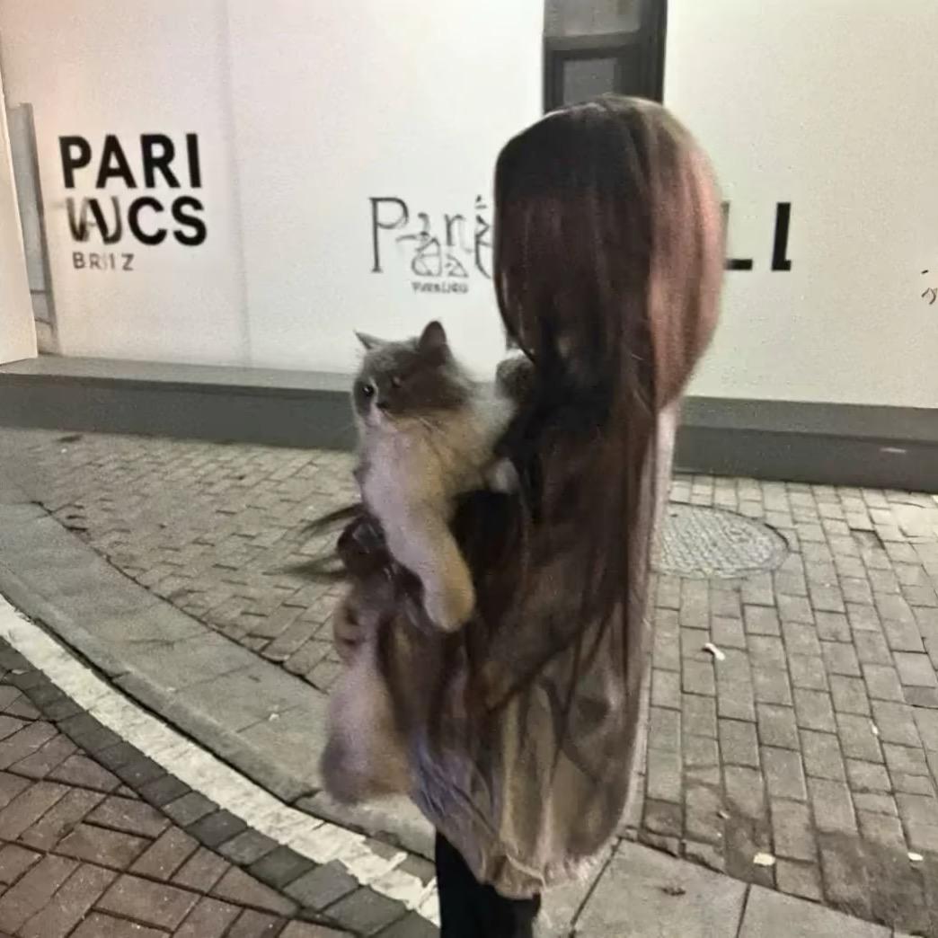 .。