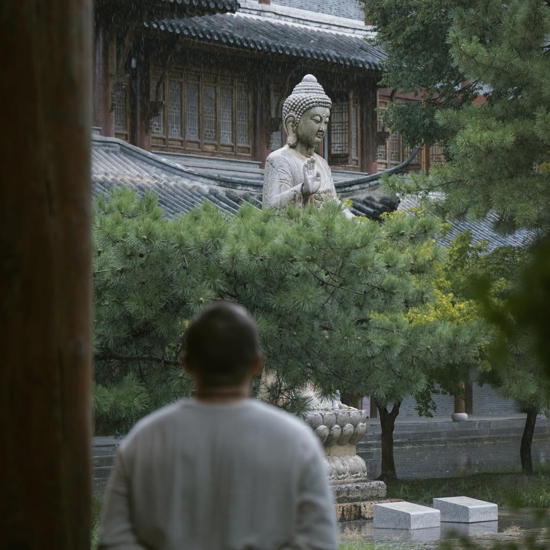 拾布织物