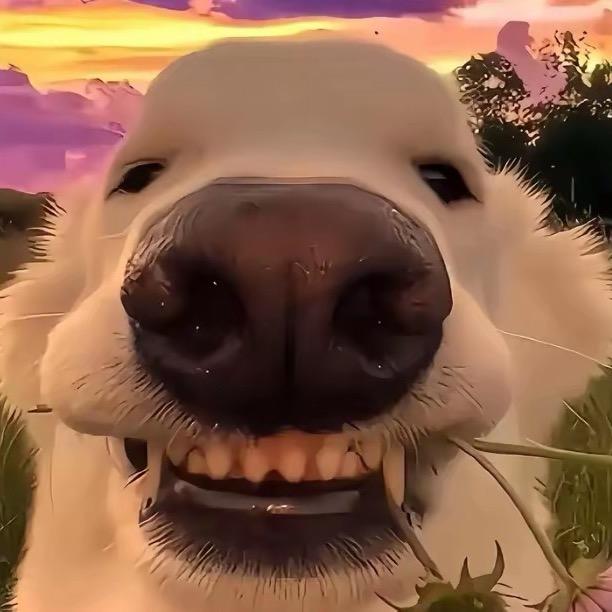 旺旺大礼包